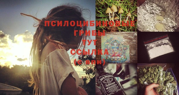 прущая мука Аркадак